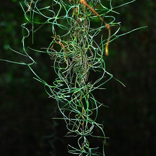 http://www.alainlens.com/files/gimgs/5_elements-studio-07-.jpg
